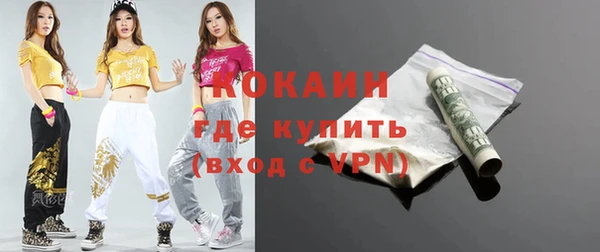 молекула духа Ельня