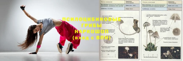 молекула духа Ельня