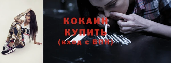молекула духа Ельня