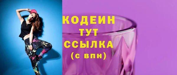 молекула духа Ельня