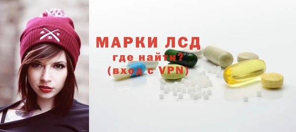 молекула духа Ельня