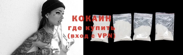 молекула духа Ельня