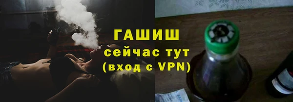 молекула духа Ельня