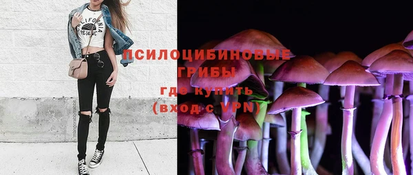а пвп мука Елизово