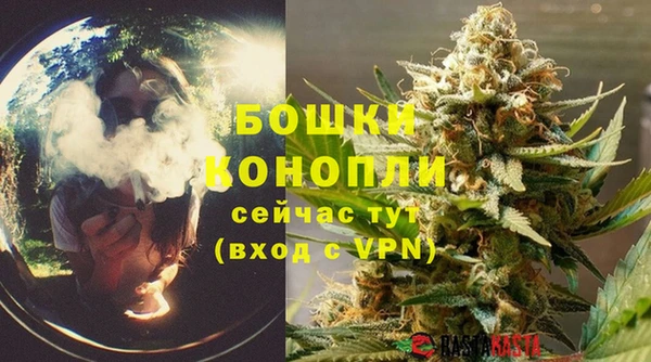 молекула духа Ельня