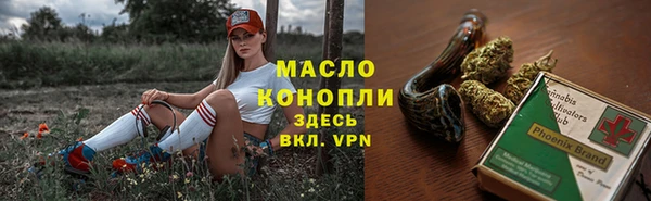 молекула духа Ельня