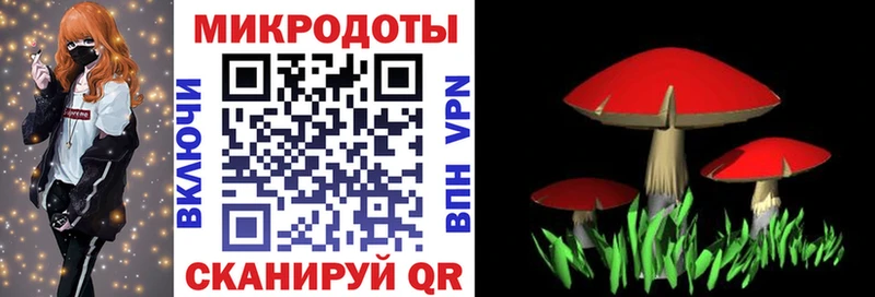 купить наркоту  MEGA маркетплейс  сайты даркнета состав  Северск  Галлюциногенные грибы ЛСД 